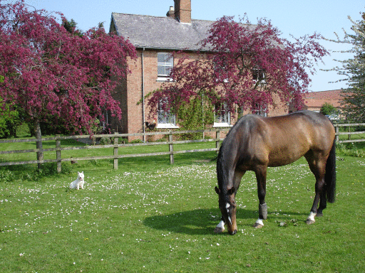 High Belthorpe