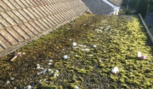 image0