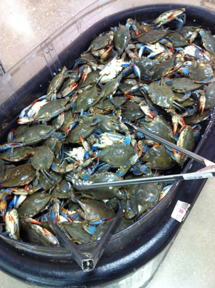 Broward Meat & Fish Grocery 8040 West McNab, North Lauderdale, FL, 33068