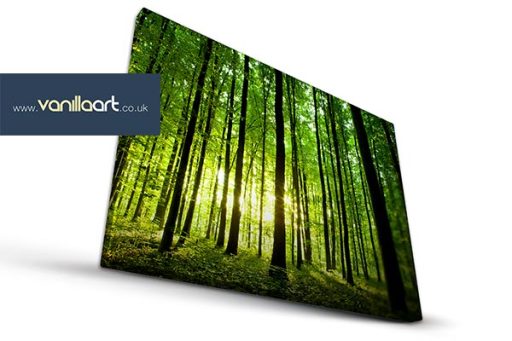 Forest picture on canvas