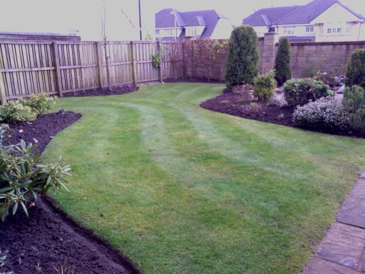 Stripped Lawn