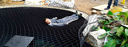 Pond Nets