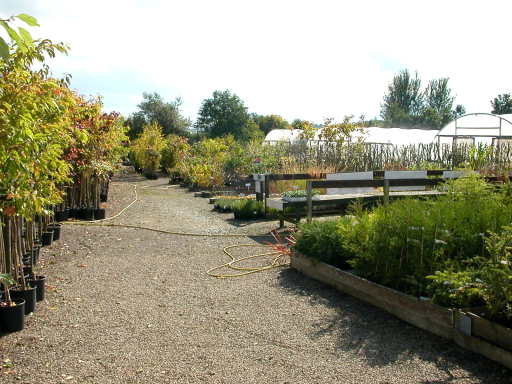 Sales Area 2