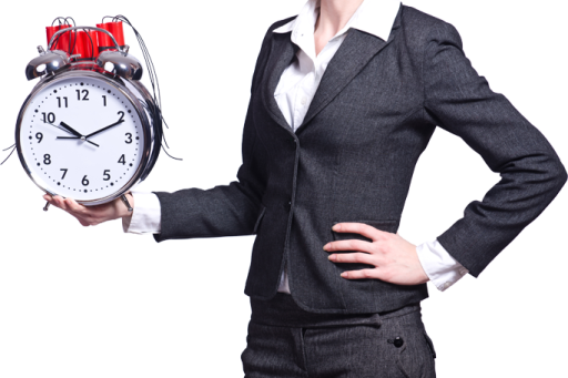 Flexible Survey Appointments