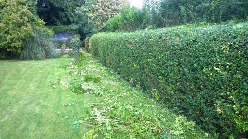 Domestic hedge maintenance in progress