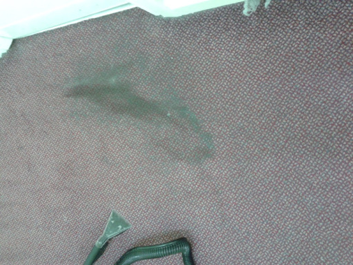 Carpet cleaners manchester