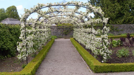 Fruit Arch at Aberglasney gardens