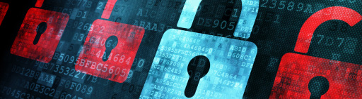 Looking After Your Cyber Security Needs
