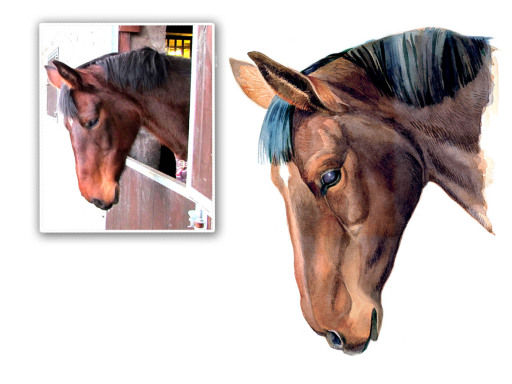 Watercolour horse portrait