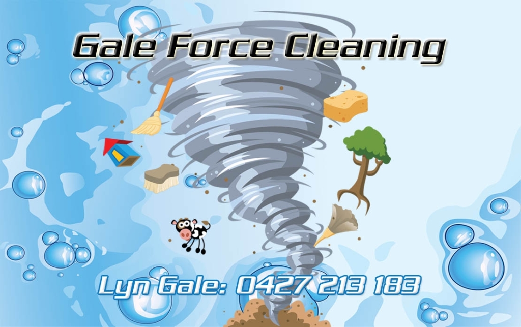 Gale Force Cleaning 56 Centaurus Cres, Regents Park, 4118