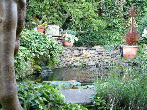 This pond instills tranquility, especially for you.