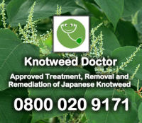 Knotweed Doctor