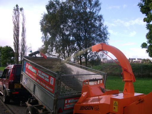 Wood Chipper