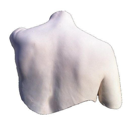 A simple and elegant back cast