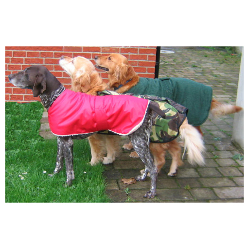 MADE TO MEASURE DOG COATS