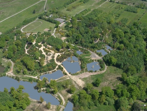 Team Dynamics' Site