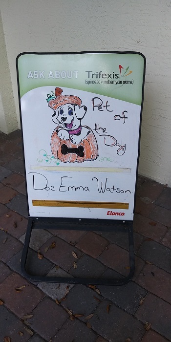 Pet Care Center of Apopka