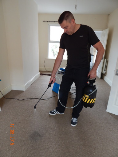 Domestic Carpet Cleaning