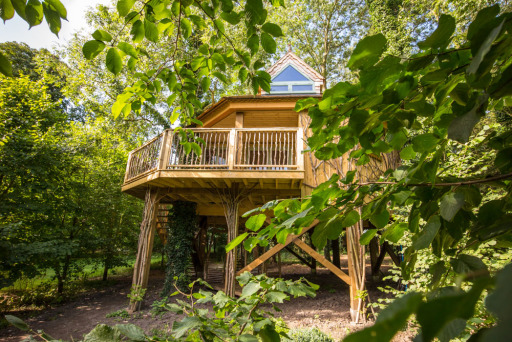 Tilia Tree House