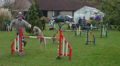Agility Jumps
