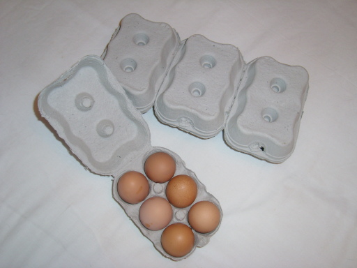 Cartons or Trays