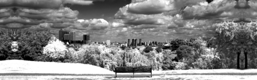 Infrared views of greenwich park