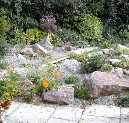 Limestone rockery pink