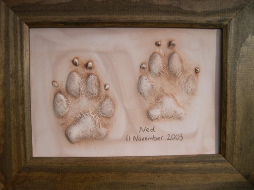 Petprints.