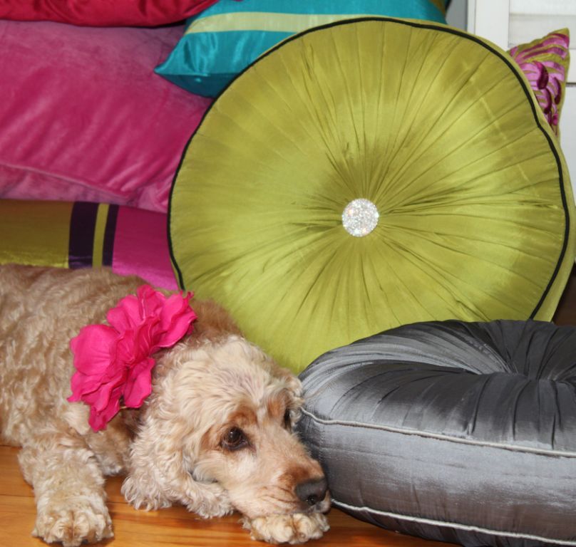 The Cushion Emporium PO Box 3012, Yeronga, 4104