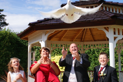 dove release