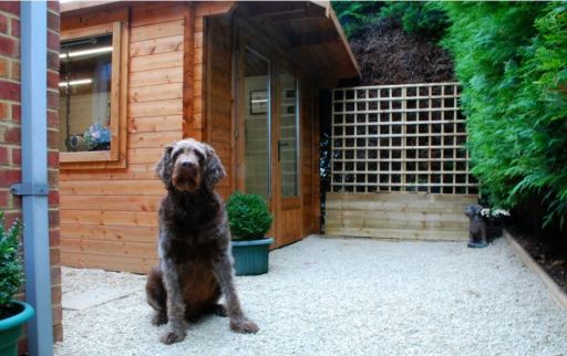 Rodney outside the salon