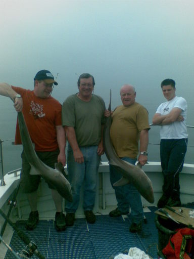 the tope are jumping on the hooks two at a time on the judy b