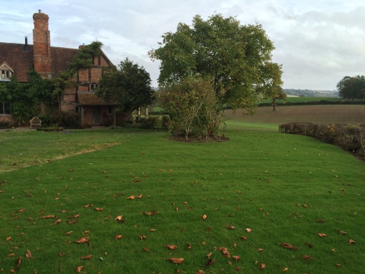 image1