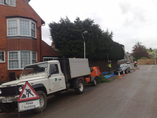 Tree surgeon hedge trimming in Southampton