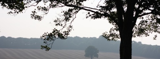 image0