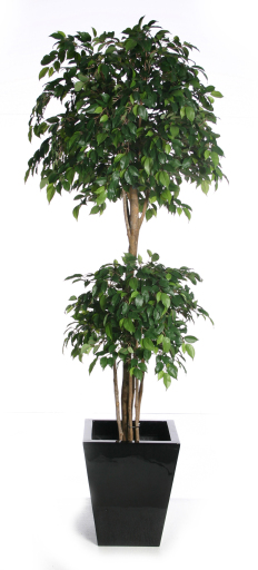 Artificial Office Plant
