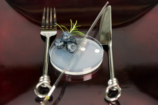 Food Safety, HACCP and Food Safety Training