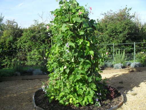 image0