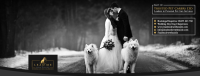 Lead Me Down the Aisle trading as Trusted Pet Carers