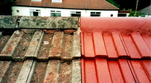 Nu Tech Roof Coating
