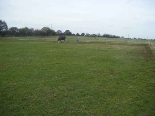 image1