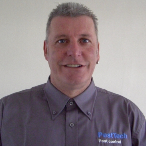 Glen Wasp nest removal / wasp control Hertfordshire