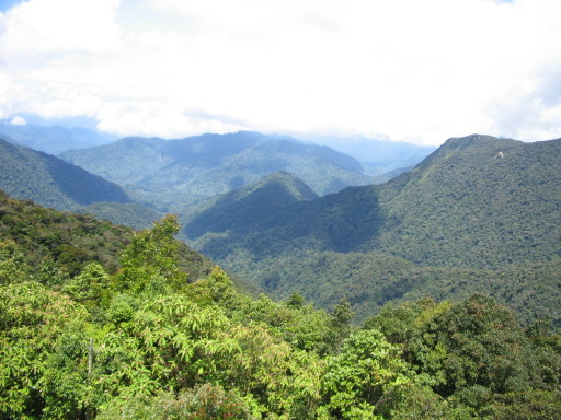 image0