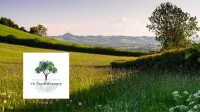 Wincanton Psychotherapy