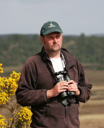 http://www.birdmad.com/