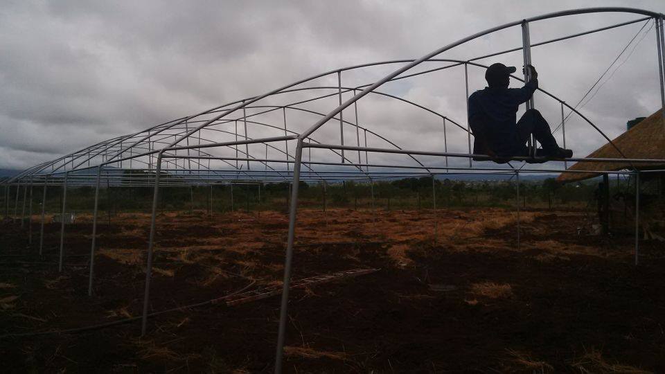 Sunrise Greenhouse 2 avenue capital park,pretoria, Pretoria, 0084