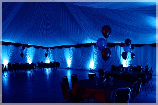 The Quee Suite