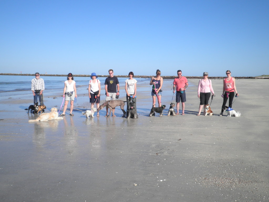 Nutts About Mutts Dog Training Adelaide & Surrounding Suburbs, Adelaide