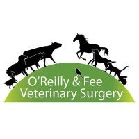 O'Reilly & Fee Veterinary Surgery - Armagh