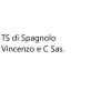 T.s. di spagnolo vincenzo & c. s.a.s.